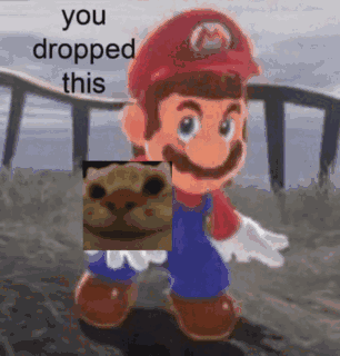yepcat meme
