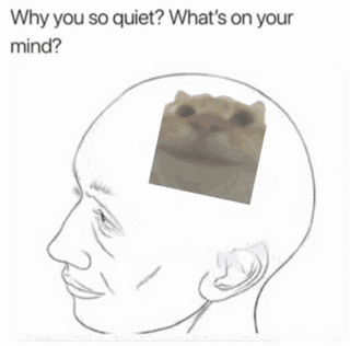 yepcat meme