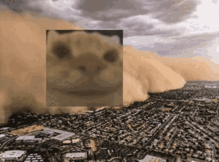 yepcat meme