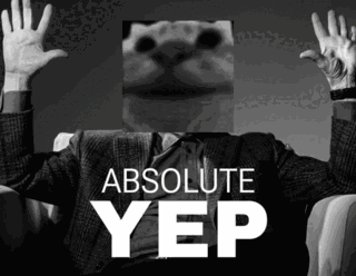 yepcat meme