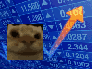 yepcat meme