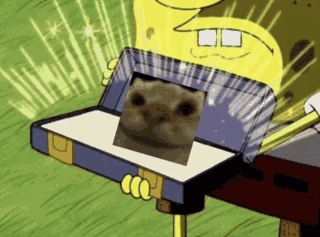 yepcat meme